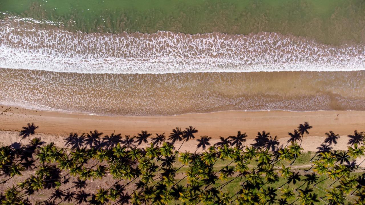Bella Vida Casa Azul Lägenhet Morro de São Paulo Exteriör bild
